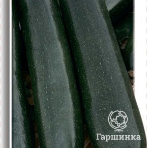 

Семена Кабачок Аэронавт 12, Поиск