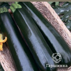 

Семена Кабачок Черный красавец (А) 12, Поиск