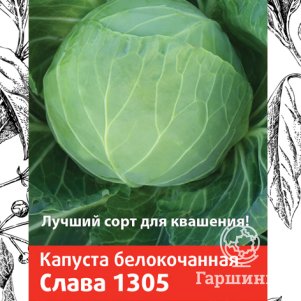 

Семена Капуста белокочанная Слава 1305 0,5, Поиск