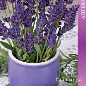 

Семена Лаванда декоративная Услада (А) 0,25, Поиск