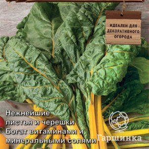 

Семена Мангольд Золотой веер (А) 0,5, Поиск