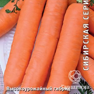 

Семена Морковь Ньютон F1 (А) 1, Поиск