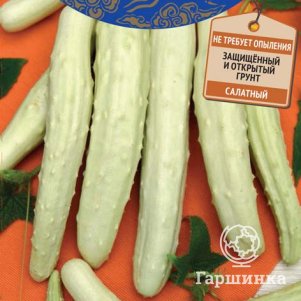 

Семена Огурец Белый дракон F1 (А) 5, Поиск