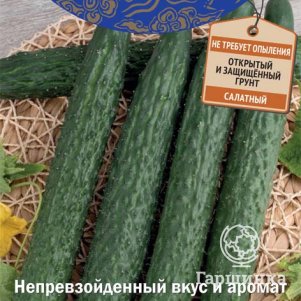 

Семена Огурец Восточный экспресс F1 (А) 5, Поиск