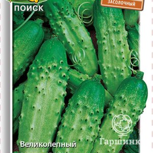 

Семена Огурец Засолочный 15, Поиск