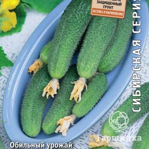 

Семена Огурец Капитошка F1 (А) 12, Поиск