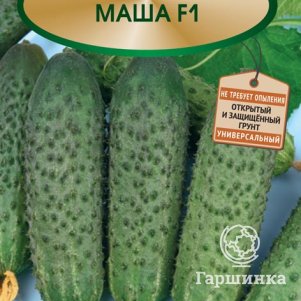 

Семена Огурец Маша F1 12, Поиск