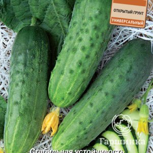 

Семена Огурец Феникс Плюс 15, Поиск