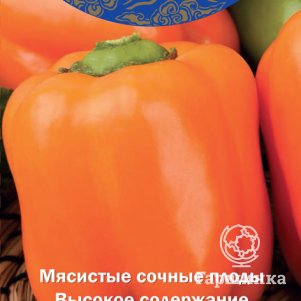 

Семена Перец сладкий Оранжевый бочонок (А) 0,1, Поиск
