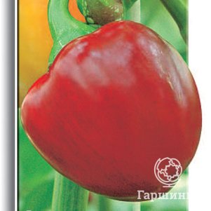 Семена Перец сладкий Рубиновый (А) 0,25, Поиск