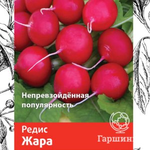 

Семена Редис Жара 3, Поиск