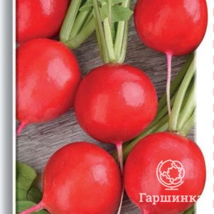

Семена Редис Ранний красный 3, Поиск