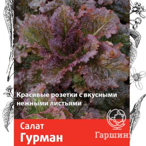 

Семена Салат Гурман (А) 1, Поиск