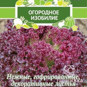 

Семена Салат Лолло Росса 1, Поиск
