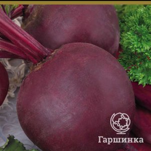 Купить Столовую Свеклу На Авито Орел