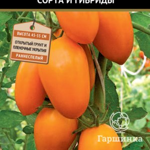 

Семена Томат Золотое руно (А) 0,1, Поиск