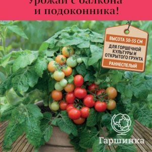 

Семена Томат Красная шапочка (А) 5, Поиск