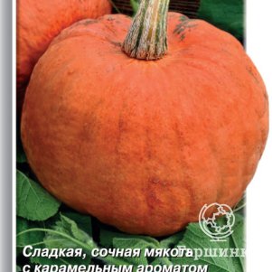 

Семена Тыква крупноплодная Конфетка 10, Поиск