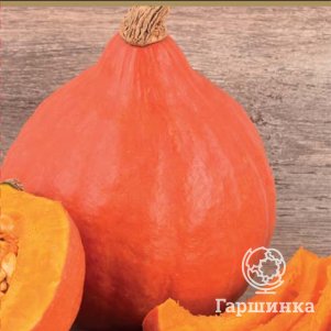 

Семена Тыква крупноплодная Красная малышка (А) 10, Поиск