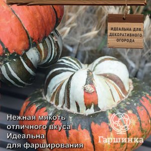 

Семена Тыква крупноплодная Турецкая чалма (А) 5, Поиск