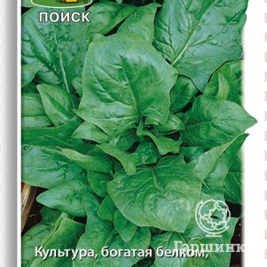

Семена Шпинат Стоик 3, Поиск