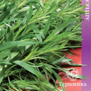 

Семена Эстрагон Монарх (А) 0,1, Поиск