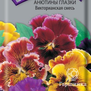 

Семена Анютины глазки Викторианская смесь 0,2, Поиск