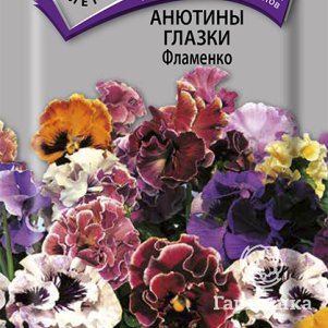 

Семена Анютины глазки Фламенко 10, Поиск