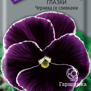 

Семена Анютины глазки Черника со сливками 0,1, Поиск