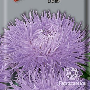 

Семена Астра Есения 0,3, Поиск