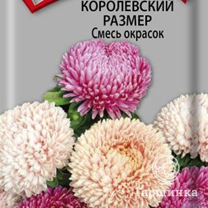 

Семена Астра королевский размер Смесь окрасок 0,1, Поиск