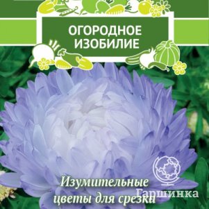 

Семена Астра пионовидная Голубка сизая 0,3, Поиск