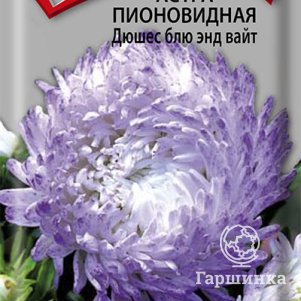 

Семена Астра пионовидная Дюшес блю энд вайт 0,3, Поиск