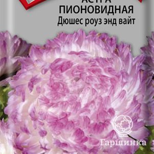 

Семена Астра пионовидная Дюшес роуз энд вайт 0,3, Поиск