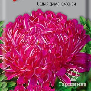 

Семена Астра пионовидная Седая дама красная 0,3, Поиск