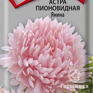 

Семена Астра пионовидная Янина 0,3, Поиск