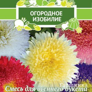 

Семена Астра принцесса Сказка 0,3, Поиск