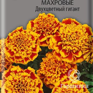 

Семена Бархатцы отклоненные махровые Двухцветный гигант 0,4, Поиск