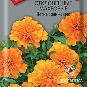 

Семена Бархатцы отклоненные махровые Петит оранжевые 0,4, Поиск