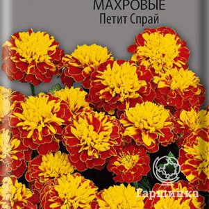 

Семена Бархатцы отклоненные махровые Петит Спрай 0,4, Поиск