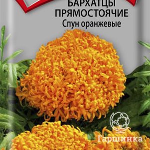

Семена Бархатцы прямостоячие Спун оранжевые 0,1, Поиск