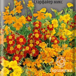 

Семена Бархатцы тонколистные Старфайер микс 0,1, Поиск