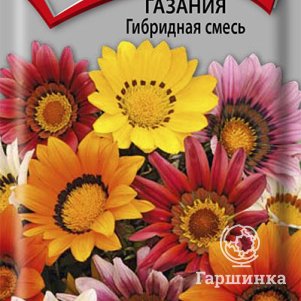 

Семена Газания Гибридная смесь 0,25, Поиск