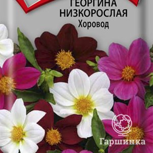 

Семена Георгина низкорослая Хоровод 10, Поиск