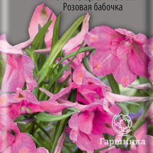 Семена Дельфиниум крупноцветковый Розовая бабочка 0,2