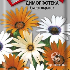 

Семена Диморфотека Смесь окрасок 0,3, Поиск
