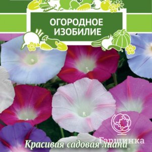 

Семена Ипомея Дружба 1, Поиск
