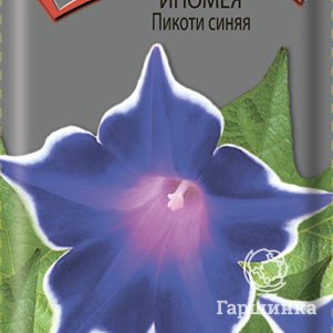 

Семена Ипомея Пикоти синяя 0,3, Поиск