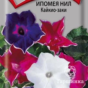 

Семена Ипомея Нил Кайкио-заки 0,3, Поиск