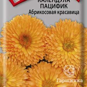 Семена Календула пацифик Абрикосовая красавица 0,5 - фото 1